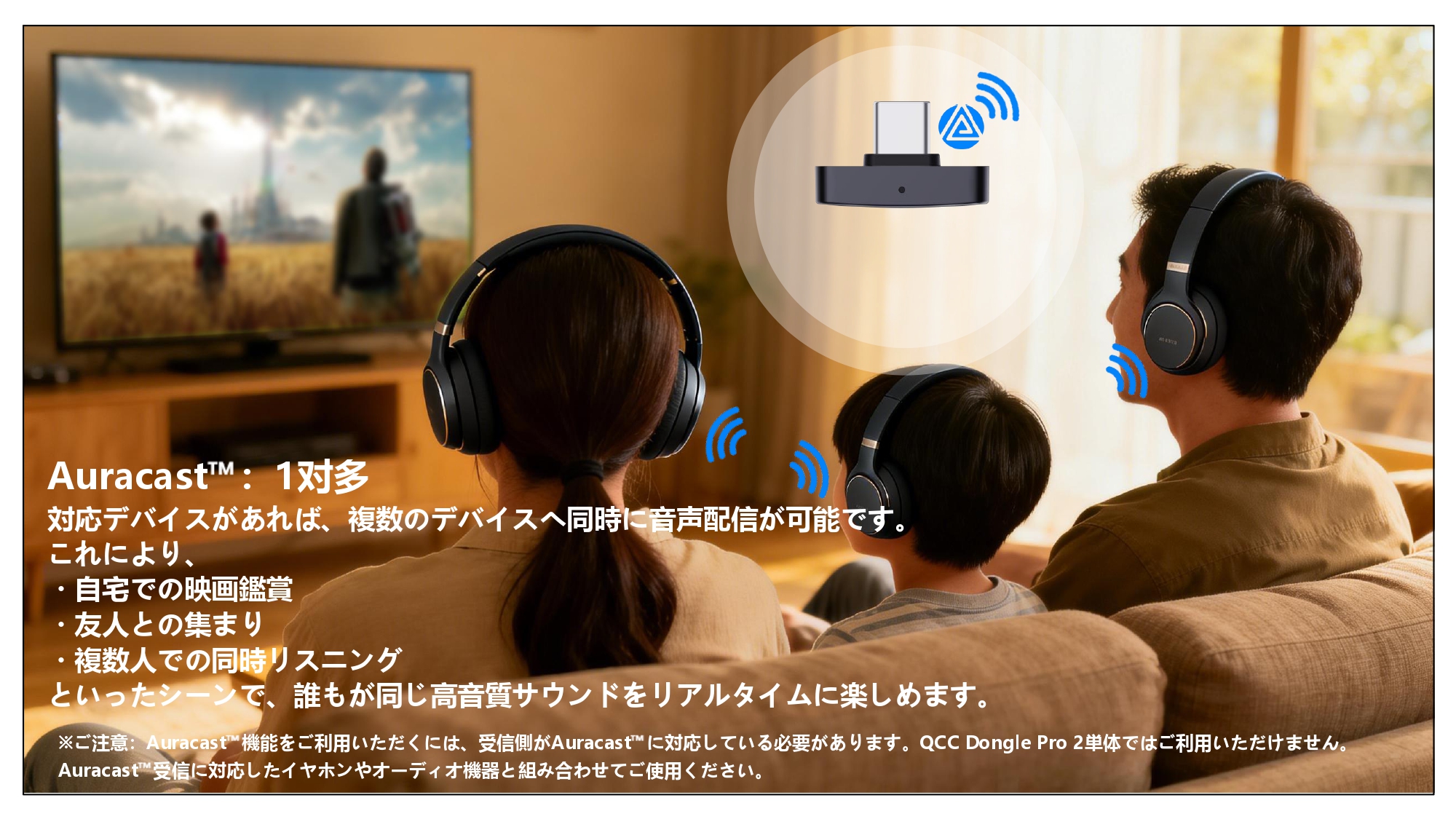 qcc dongle pro2日本語20260611 page 0024